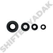 تصویر کاسه نمد موتور سیکلت تی وی اس مدل TVS180 بسته ۲ عددی 