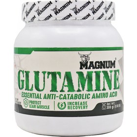 تصویر گلوتامین مگنوم 300 گرم ا Magnum Glutamine Powder 300 g Magnum Glutamine Powder 300 g