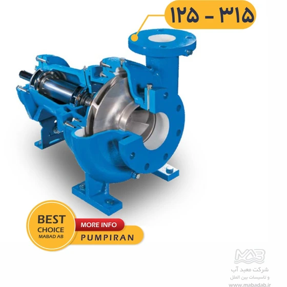 Pump Iran خرید و قیمت پمپ آب گریز از مرکز پمپیران Pumpiran-125-315 | ترب