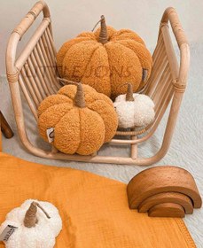 تصویر کدوی تدی 