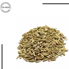 تصویر رازیانه 