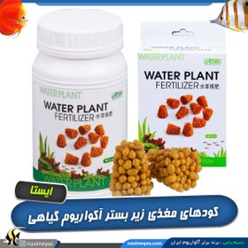 تصویر کود توپی مغذی زیر بستر آکواریوم های گیاهی برند ایستا Ista Water Plant Fertilizer 20