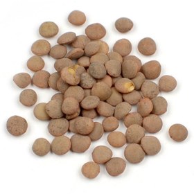 تصویر بذر عدس 30 عددی 