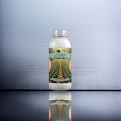 تصویر کود درخت پسته بمب 