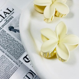 تصویر کلیپس پلومریا جیر - سفید 