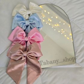 تصویر پاپیون گیره فرانسوی 