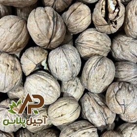 تصویر گردو پوست کاغذی خارجی 