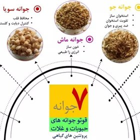 تصویر قاووت محصول فرا سودمند( 7 جوانه غلات با ریشه جینسینگ ) 200گرمی 