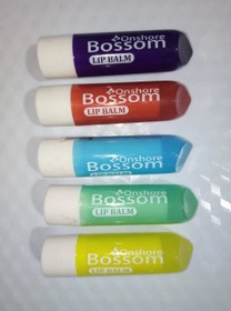 تصویر BOSSOM بالم و برق لب میوه ای 13گرمی(3480) BOSSOM Fruity lip balm and gloss 13 grams