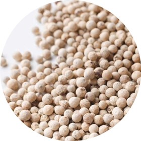 تصویر فلفل سفید دان 