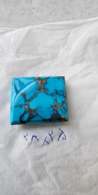 تصویر فیروزه شجر نیشابوری 