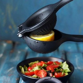 تصویر آبلیمو گیر دستی استیل ضد زنگ 