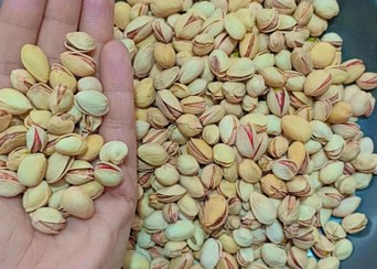 تصویر پسته ریزه احمد آقایی دست چین - 500گرم Ahmad Aghaye a small pistachios