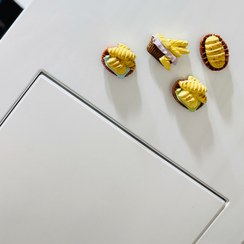 تصویر مگنت یخچال فانتزی / رو یخچالی رزین 