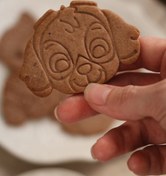 تصویر استامپ سگ های نگهبان ، اسکای 