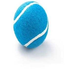 تصویر توپ تنیس آموزش 2 آبی Clifton 