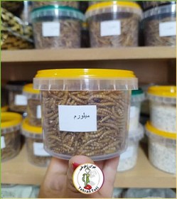 تصویر میلورم 