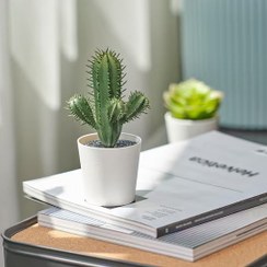 تصویر کاکتوس مصنوعی ایکیا مدل FEJKA سایز ۶ سانتی‌متر 