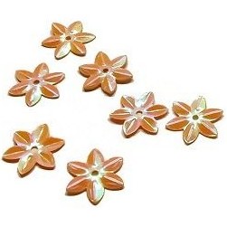 تصویر پولک گل رنگی 