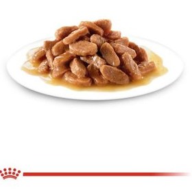 تصویر غذای مرطوب بچه گربه رویال کنین مدل Kitten وزن ۸۵ گرم 