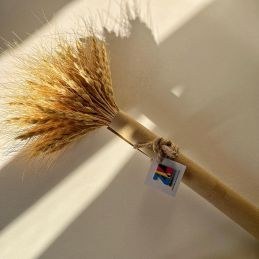 تصویر خوشه گل گندم خشک گل گندم خشک اکسسوری عکاسی