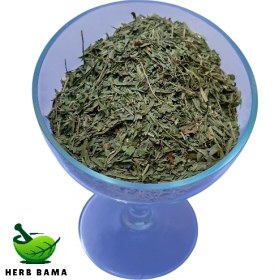 تصویر ریحان خشک 