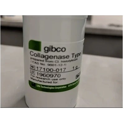خرید و قیمت آنزیم کلاژناز، Collagenase, Type I, powder گیبکو (Gibco) کد ...