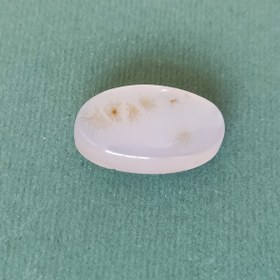 تصویر سنگ شجر کد 40033 