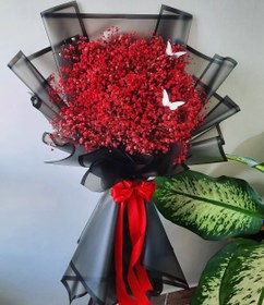 تصویر دسته گل ژیپسوفیلای قرمز 