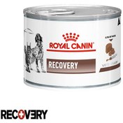 تصویر کنسرو ریکاوری رویال کنین سگ و گربه 195 گرم Royal Canin Recovery for Cats & Dogs 195g