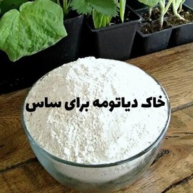 تصویر خاک دیاتومه (1 کیلوگرمی) برای از بین بردن ساس و حشرات (ارسال به صورت پس کرایه) 