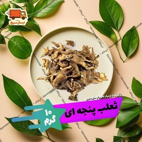 تصویر ثعلب پنجه ای بسته 10 گرمی طبیعی (پرورشی نیست) 