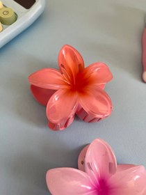 تصویر گلسر پلومریا 