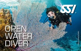 تصویر دوره آموزش غواصی آب های آزاد SSI Open Water Diver Open Water Diver