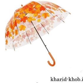 تصویر چتر پاییزی 