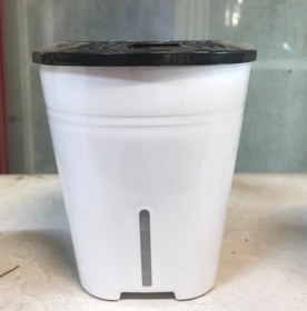 تصویر گلدان هیدروپونیک - سایز۲۱ 