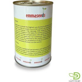 تصویر بذر گوجه فرنگی دنیز 