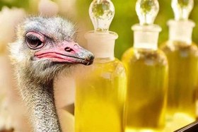 تصویر روغن شتر مرغ اصل Ostrich Oil -