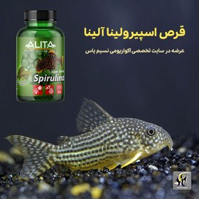 تصویر قرص اسپیرولینا آلیتا Alita Nitro bacter