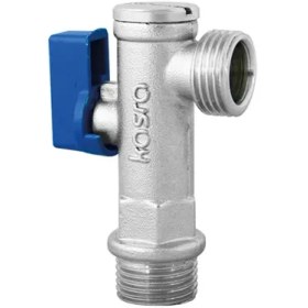 تصویر شیر پیسوار کسری 