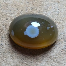 تصویر باباقوری طبیعی خوش رنگ و زیبا 