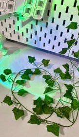 تصویر ریسه برگ 