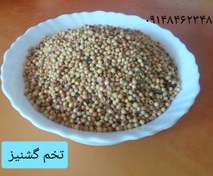 تصویر تخم گشنیز ـ ۲۰۰ گرم 