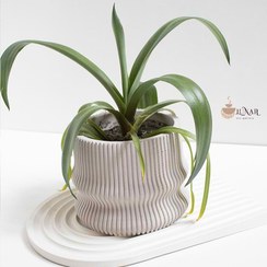 تصویر گلدان بتنی شیاردار آفتاب 