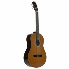 تصویر گیتار فرد مدل پارسی 