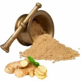 تصویر زنجبیل معمولی 