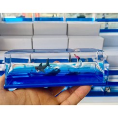 تصویر باکس دکوری اسکی باز و کوسه شناور Floating Ski and Shark Decoration Box