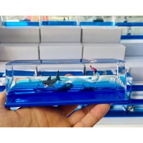 تصویر باکس دکوری اسکی باز و کوسه شناور Floating Ski and Shark Decoration Box