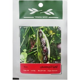 تصویر بذر لوبیا کریسمس وانیا سید مدل I44 