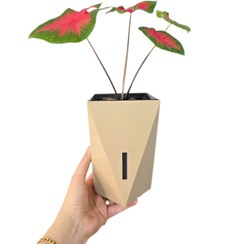 تصویر گلدان هیدروپونیک مدرن برند راما - بژ / سایز 1 Rama